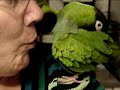 Lovable Birds!