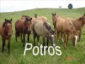 Cabanha Mangueria de Pedra