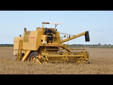 New Holland Clayson 1545 - tarwe dorsen