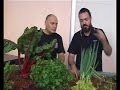 EcoLiving Expo - Aquaponics