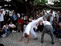 Roda da Figueira - Mestre Calunga e Mestre Pinoquio