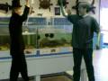 videos de Green screen :My Stupid Adventure!!!