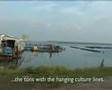 Sustainable Dutch Mussels 2 of 4