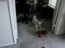 Terrorizing Loki