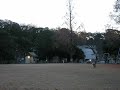 frisbeedog pair practice frisbeedog pair practice