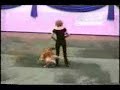 Wow Dog