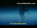 Peces en pista de hielo