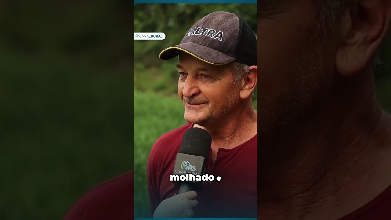 Trigo RS | Lavouras na fase reprodutiva e boas perspectivas de produção