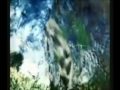 YouTube - The Goddess; Mother of Creation - part 2
