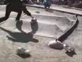 Tamiya Rally