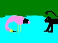 endangered-species-andean-flamingos.html