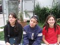 andando me mettro com os krebs andando me mettro com os krebs