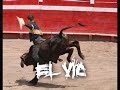 SONES MIX GUANAJUATO SONES MIX GUANAJUATO
