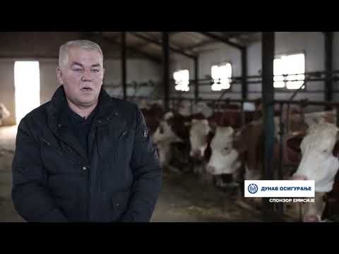 ПОРОДИЦА ВЛАДИСЛАВА ЈОВАНОВИЋА ИЗ KОСЈЕРСKОГ СЕЛА ВАРДА, БАВИ СЕ СТОЧАРСТВОМ