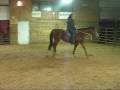 videos de My Lady Contessa 2001 AQHA Mare