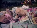 The Chillacy Show: Contests!