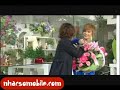 Sứ Mệnh Siêu Nhân - Tống Gia Vỹ