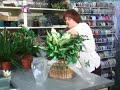 Plant Gift Baskets : Packing Plant Gift Basket Soil Plant Gift Baskets : Packing Plant Gift Basket Soil