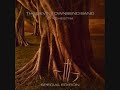 Devin Townsend Band - Pixillate