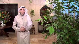 الحلقة 15 (الحقائق الـ8)