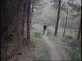 Glentress and Kielder singletrack