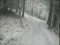 Glentress and Kielder singletrack