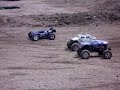 races in moonstone