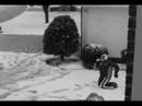 snowtime snowtime