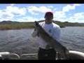 Pole Poppin' Pike Pounders