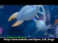 Spore - Cell Stage Gameplay Spore - Cell Stage Gameplay