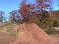 coady m edit