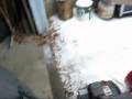 videos de Bolens 32inch snowblower part 1.wmv