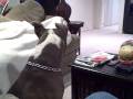 Duke Behaving