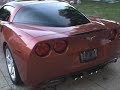 Vette