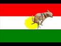 turkish dog shit on kurd kurdish kurdistan flagg كردستان