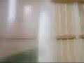 pula passarinho:como brincar com pássaros pula passarinho:como brincar com pássaros