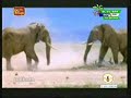ATAPATTAMA - (2007/03/21)  part 1