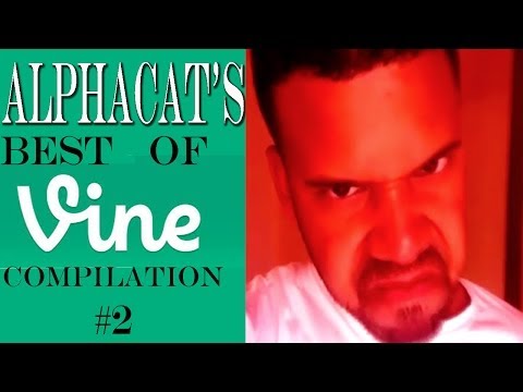 Alphacat's BEST OF VINE COMPILATION #2