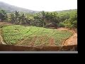 Charta Suraj - Acoustic Indian Radiation
