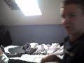 Zechel macht nur Bullshit