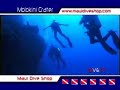 MAUI MOLOKINI BACKWALL MAUI MOLOKINI BACKWALL