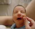 santino 4 dias