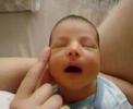 santino 4 dias