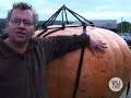 Carving a 900lb Grumpkin - Wall Street Journal Carving a 900lb Grumpkin - Wall Street Journal