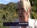 NATURE & SOIN : ALOE VERA, NOURISSANT ET CICATRISANT