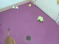 videos de Cassie.wmv