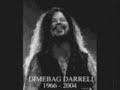 Dimebag Darrell Tribute Dimebag Darrell Tribute