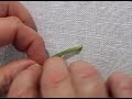 Gathered Leaves