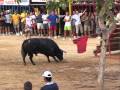 Ver Video