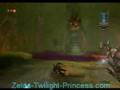 Zelda-Twilight-Princ